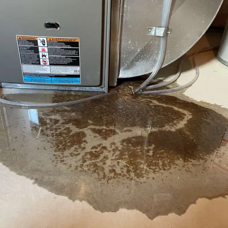 Appliance Leak Cleanup in Myrtle Grove, FL