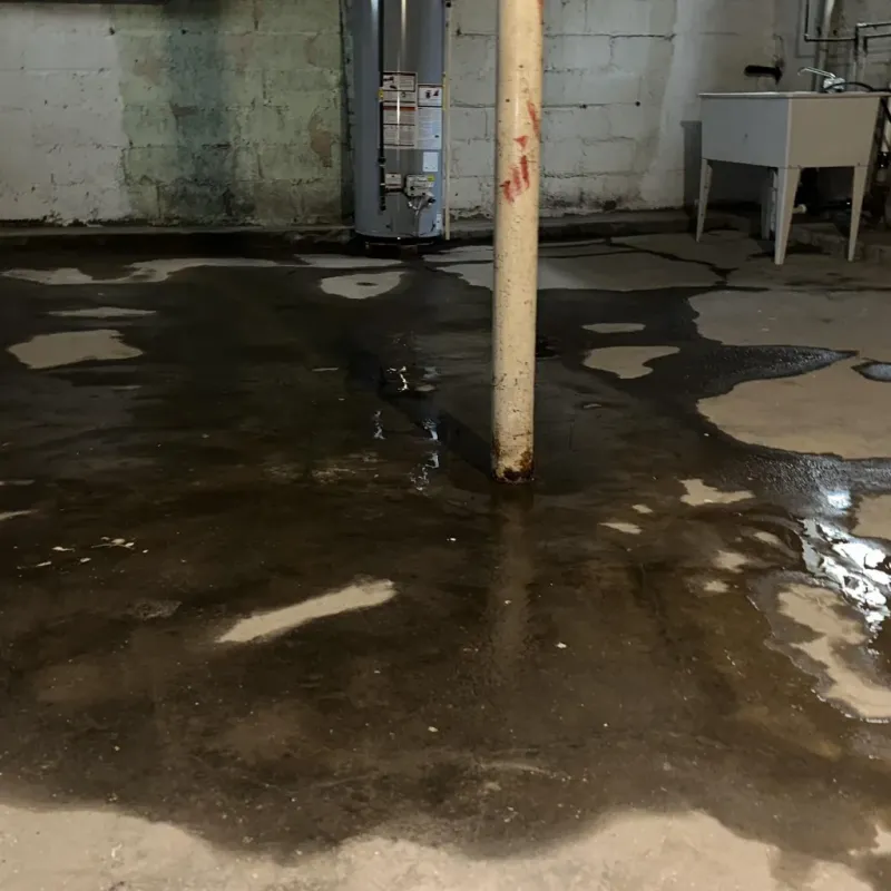 Emergency Water Extraction And Removal in Myrtle Grove, FL